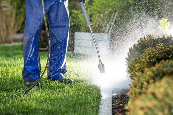 Cost of Curb Cleaning in Granger