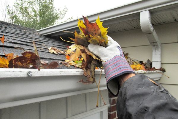 Eaves Cleaning Service