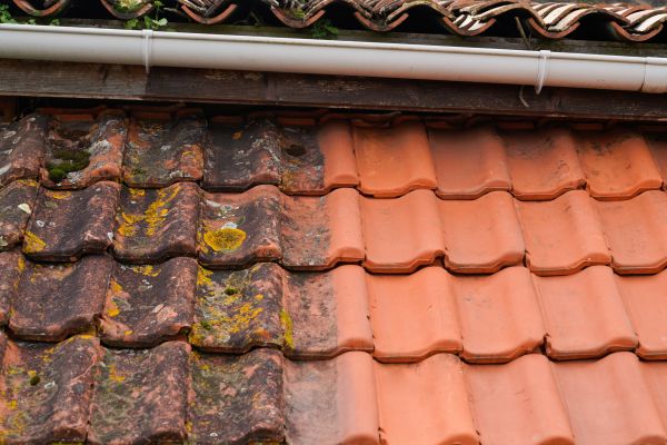 Industrial Roof Cleaning in Granger